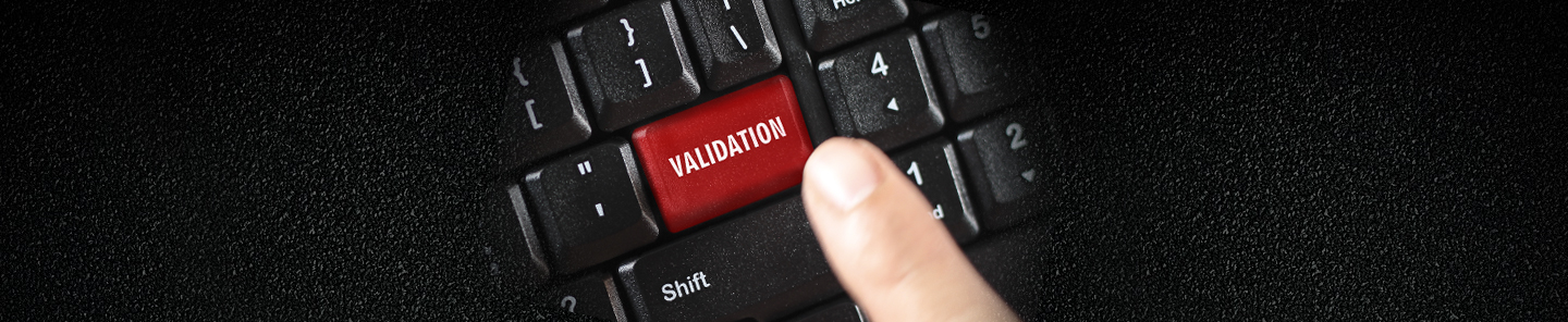 Computer System Validation Computer System Validation