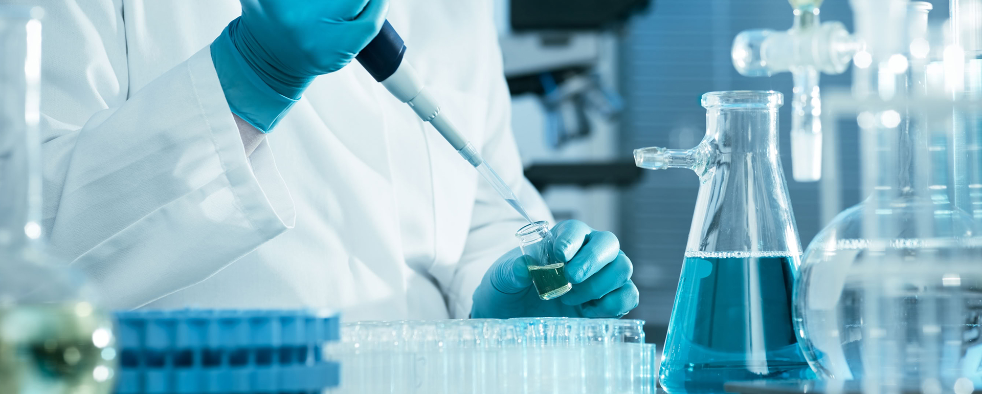 Walking the Quality Culture