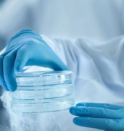 Valical is excited to offer “New integrated end-to-end cold chain solutions for pharmaceutical, food and life sciences industry.